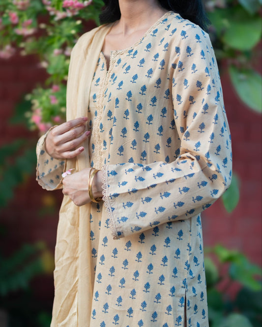 Beige - Premium Unstitched Lawn (5m)