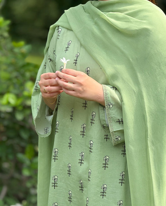 Light Green - Premium Lawn Unstitched 5m